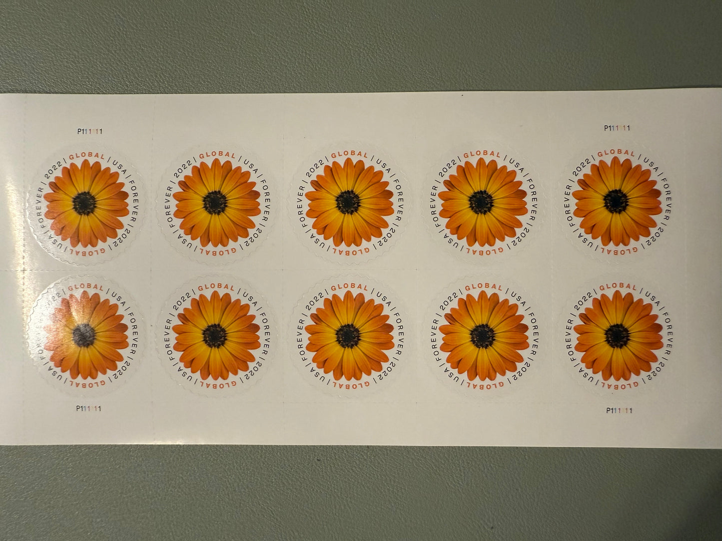 USPS Global Forever Stamps "African Daisy" 2022 (50 Stamps)